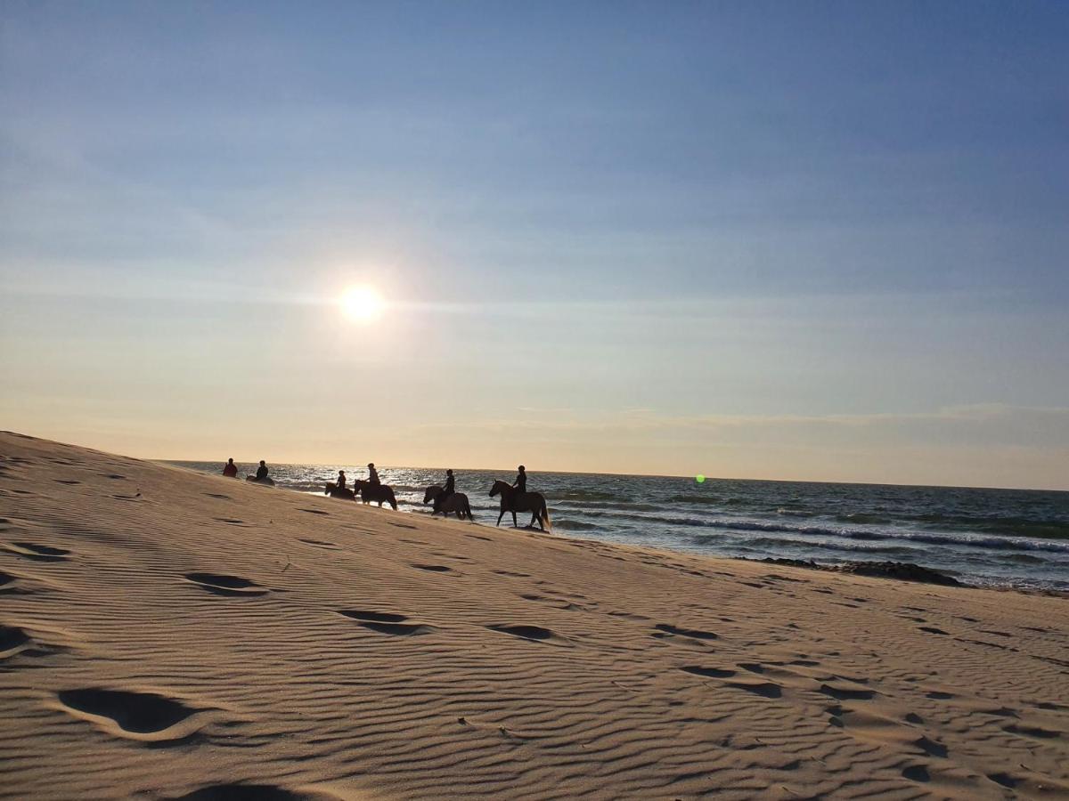 Beachhouse Renesse 2645 外观 照片